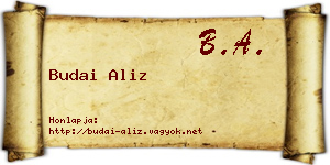 Budai Aliz névjegykártya